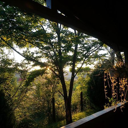 Natura Chalets Praid Dış mekan fotoğraf