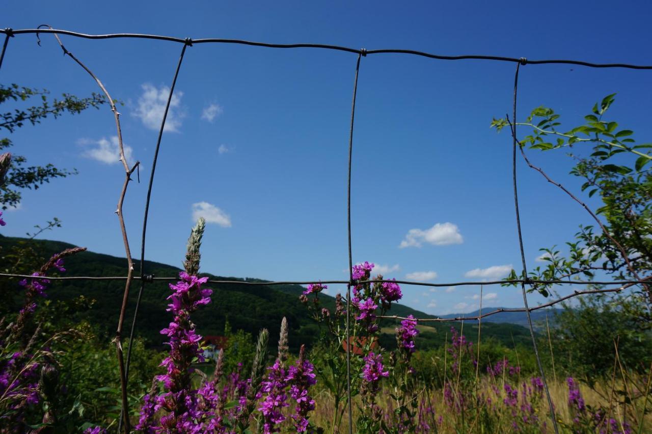 Natura Chalets Praid Dış mekan fotoğraf