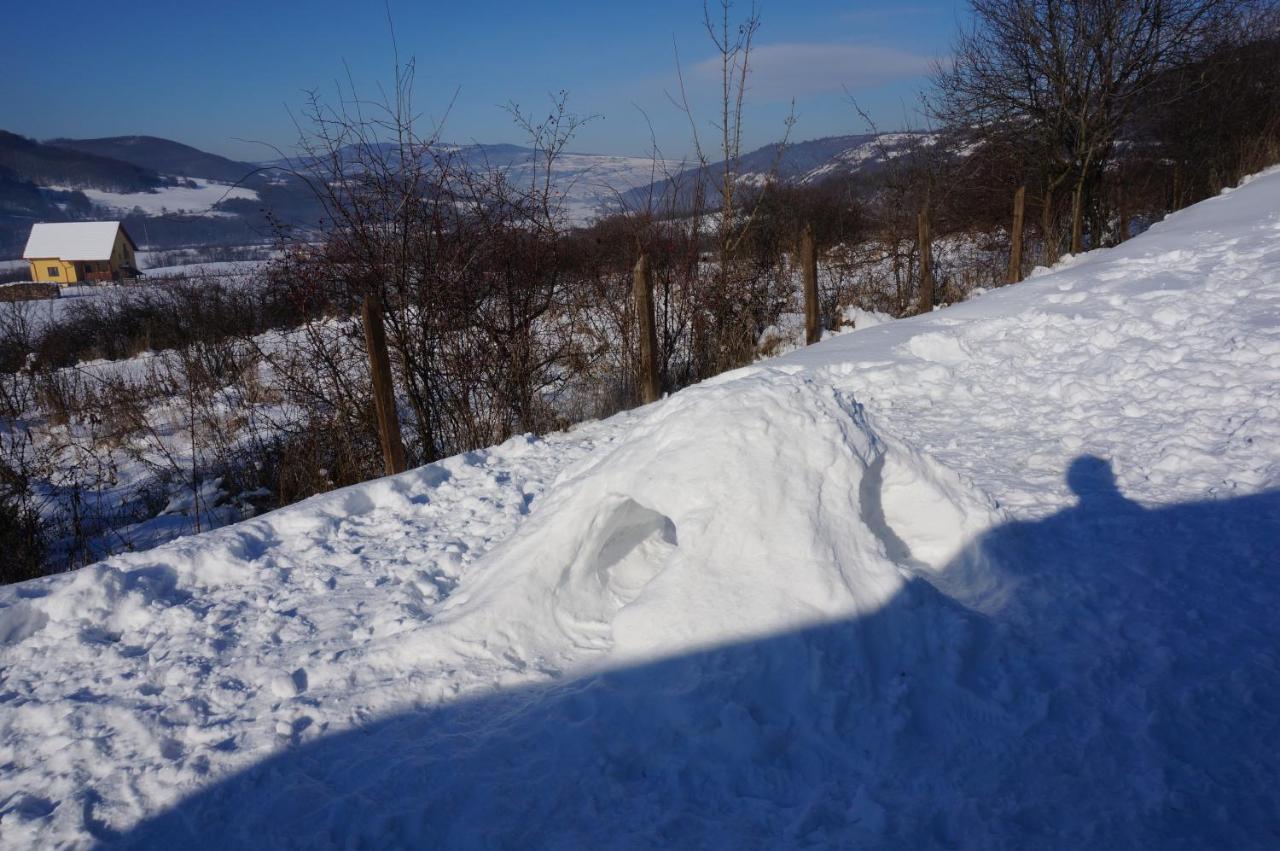 Natura Chalets Praid Dış mekan fotoğraf