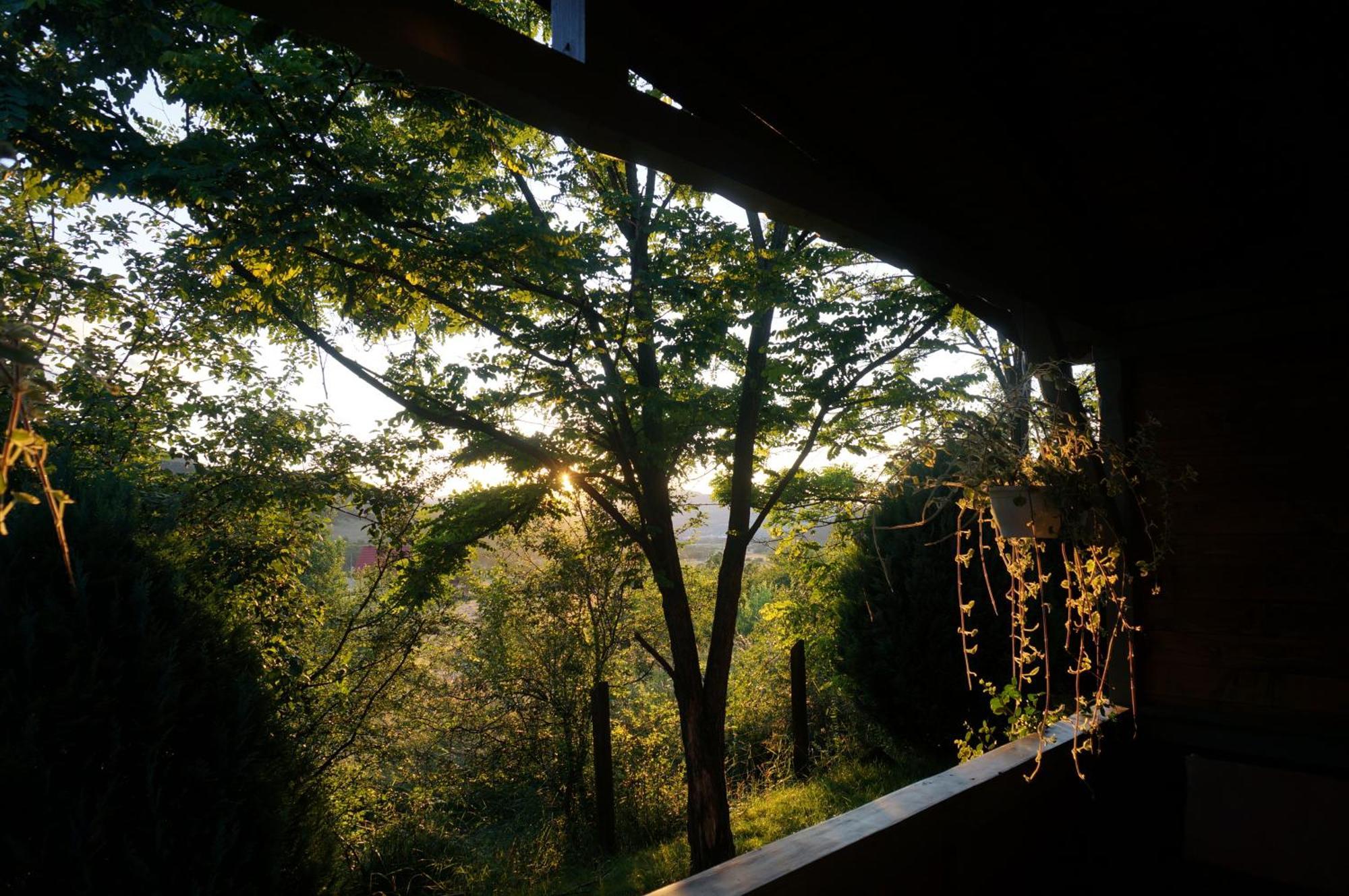 Natura Chalets Praid Dış mekan fotoğraf
