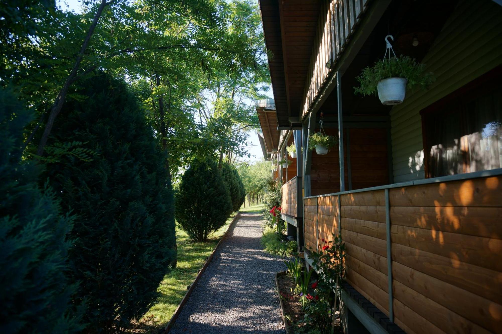 Natura Chalets Praid Dış mekan fotoğraf