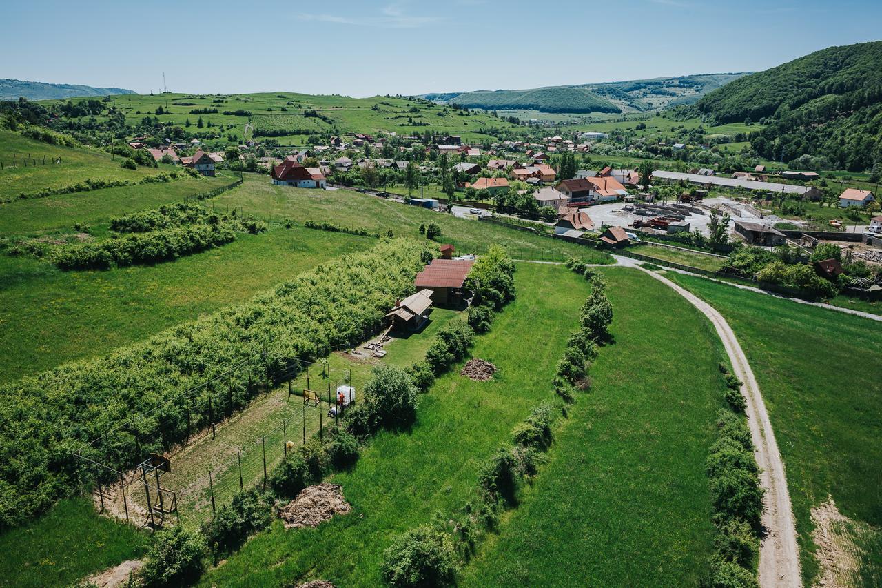 Natura Chalets Praid Dış mekan fotoğraf